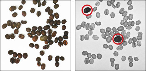 異物検査の撮像例：左側の可視画像では区別がつかないコーヒー豆に混入した石を検出できていることがわかる（写真：ビジネスワイヤ）