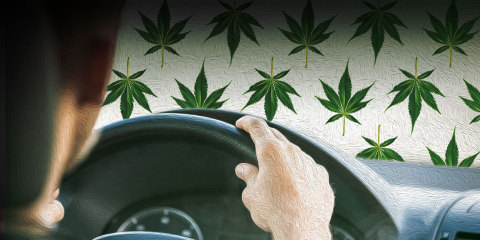 Advanced Brain Monitoring Hits the Road with Cannabis Impairment Detection! (Graphic: Business Wire)