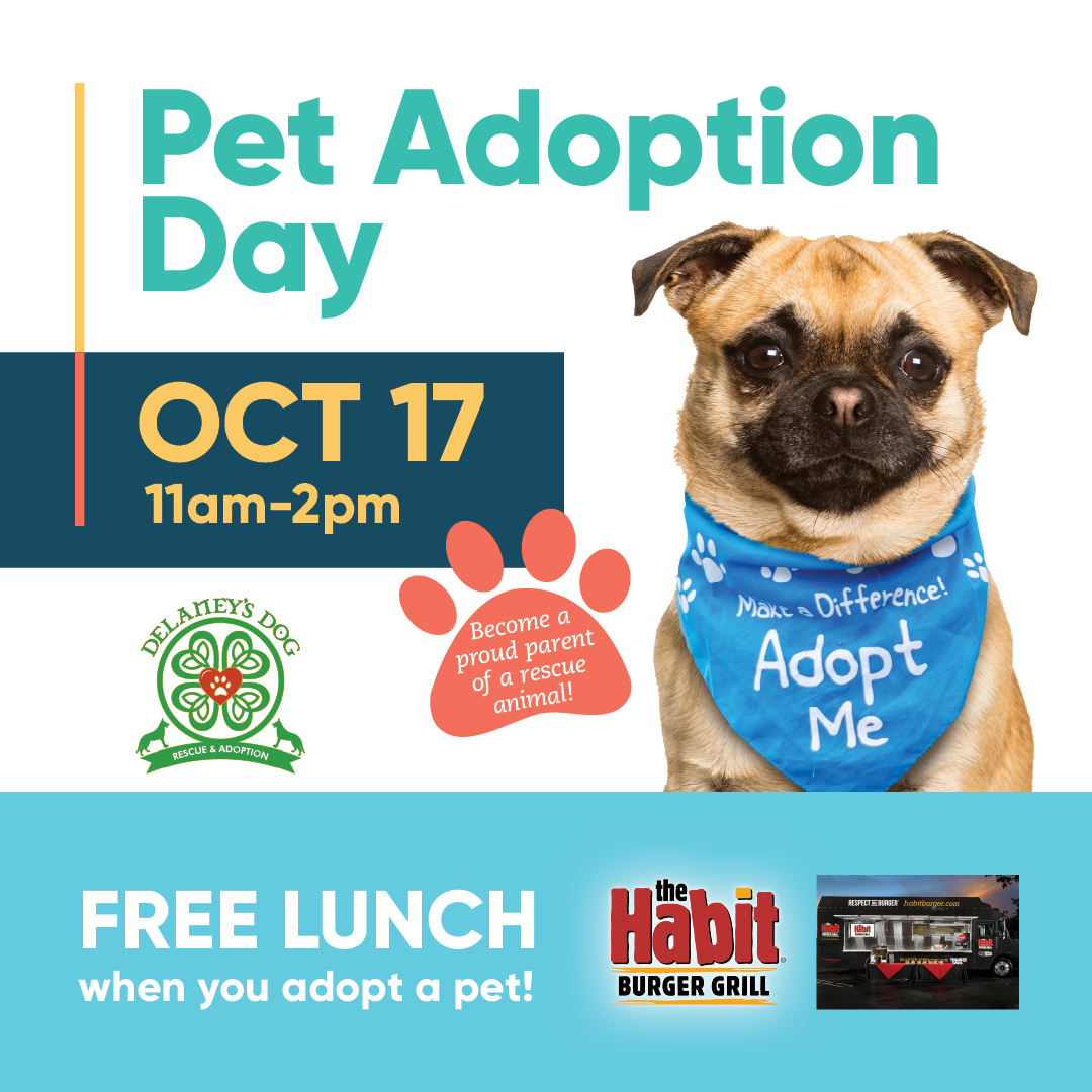 free pet adoption day