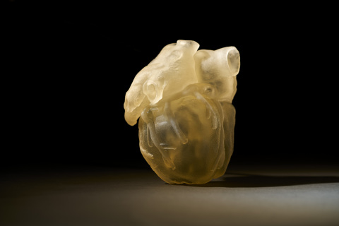 3D printed heart model produced on the new Stratasys J750™ Digital Anatomy™ 3D Printer - replicating the feel, responsiveness, and biomechanics of human anatomy (Photo: Business Wire)