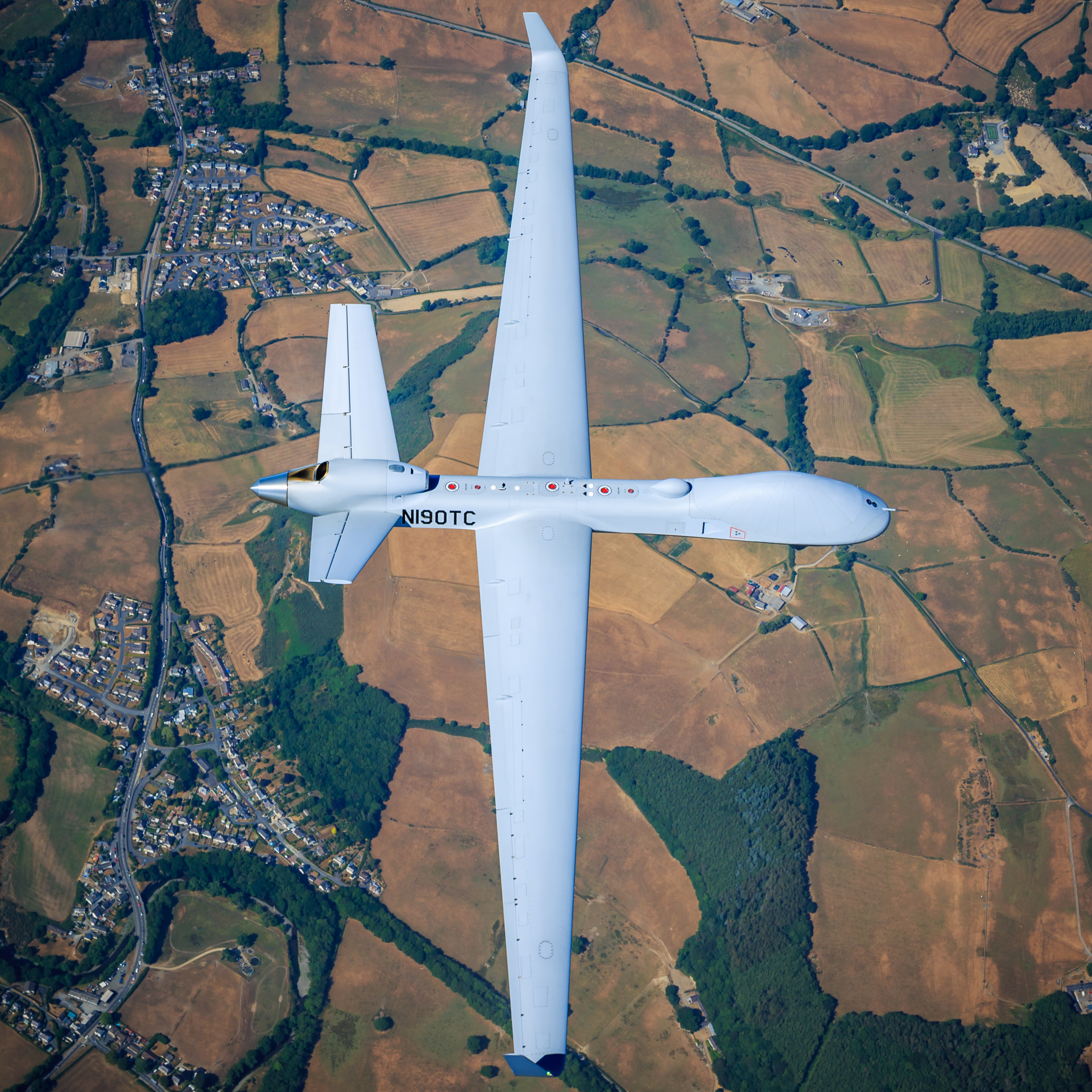 Large Aerolias