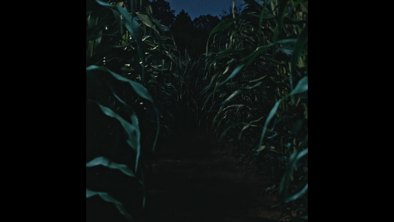 A haunted corn maze is one of several attractions at Ravenwood Haunted Farm.