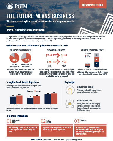 (Fact Sheet) The Weightless Firm