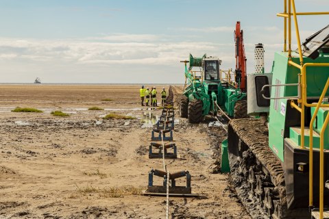 Super Highway 1 - Rockabill Southport Beach (Photo: Business Wire)