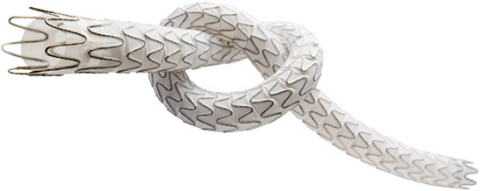 The TORUS Stent Graft (Photo: Business Wire)