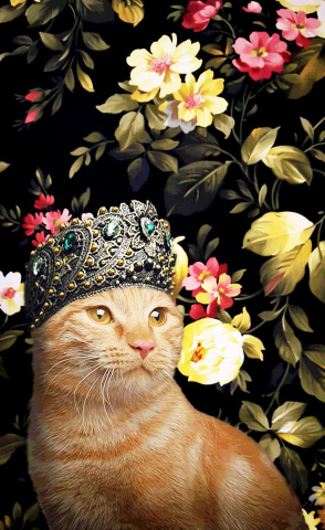 Treat your cat like royalty with Darwin's natural pet foods. To take advantage of our 50% promo now and for more information on raw pet food diets visit www.darwinspet.com/50. (Photo: Business Wire)