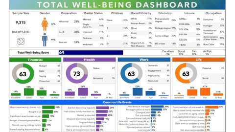 Employer Total Well-Being Dashboard (Graphic: Business Wire)