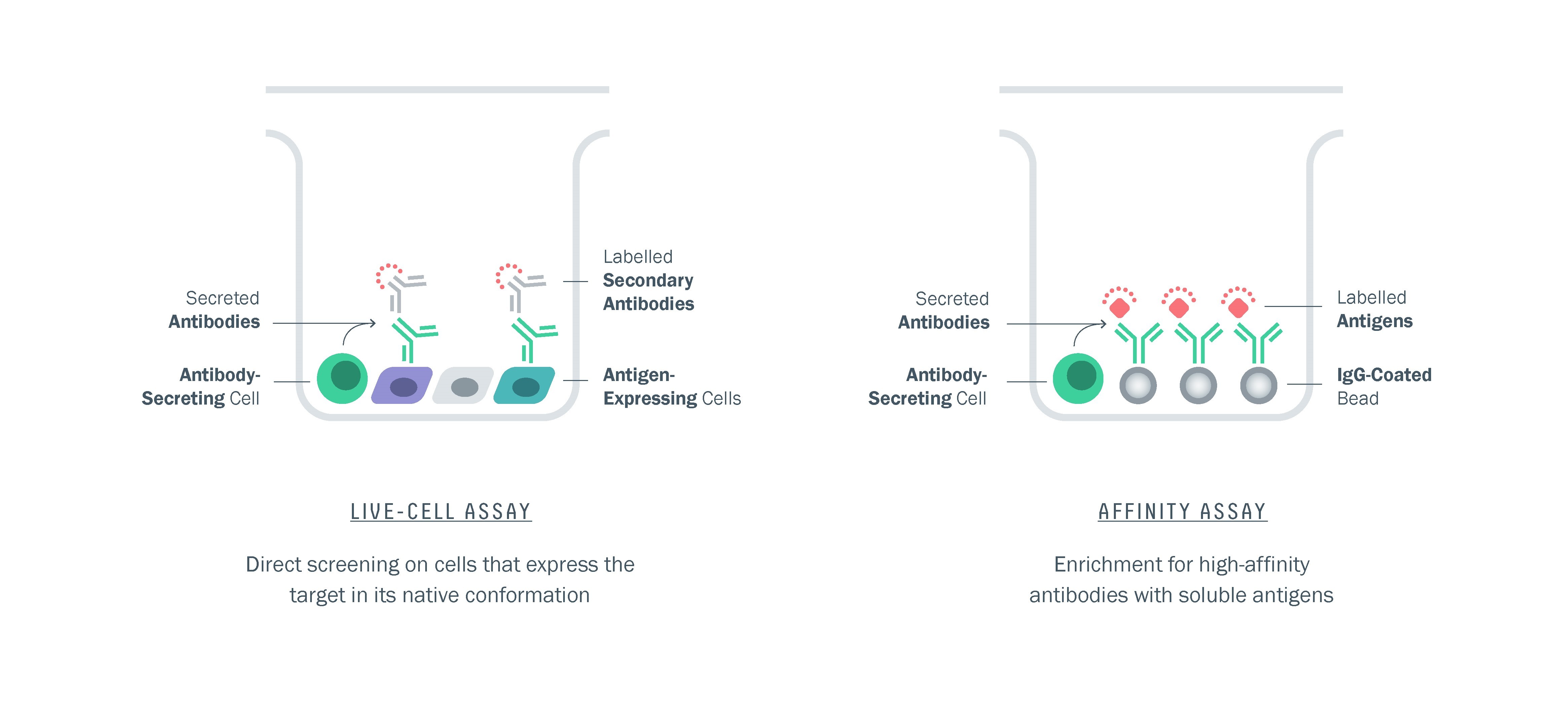 patent claims