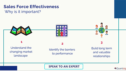 Sales Force Effectiveness (SFE) – What’s All the Fuss About? (Graphic: Business Wire)