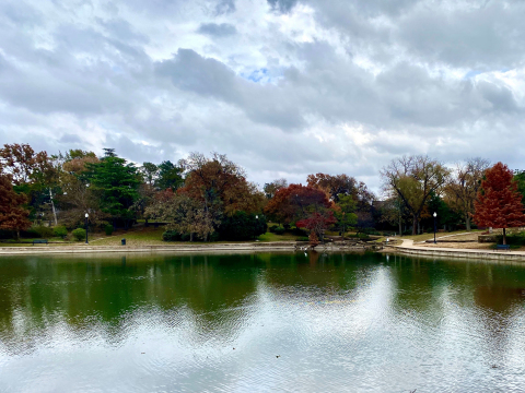 Crow Holdings is teaming up with the Arbor Day Foundation and Texas Trees Foundation to replant trees in Kidd Springs Park in Dallas. (Photo: Business Wire)