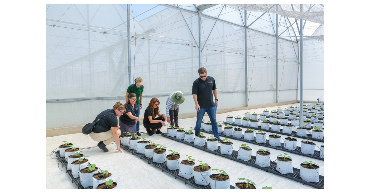 Program 3m 3M Launches a New Sustainability Goal With Global Skills-Based ...