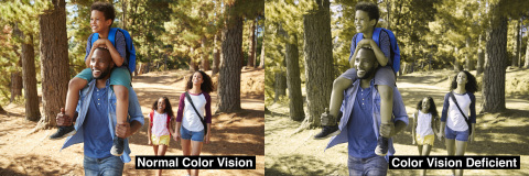 EnChroma lens technology for color blindness will be available in scenic viewers manufactured by SeeCoast Manufacturing Company; enabling people with color blindness to better enjoy the beauty of outdoor color at state parks, scenic overlooks and other locations. (Photo: Business Wire)