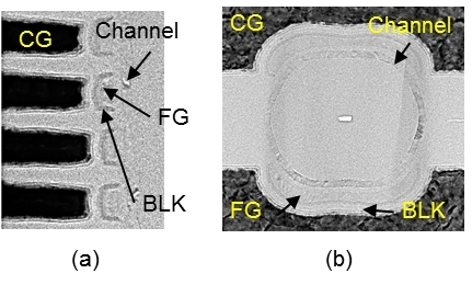 Fabricated semicircular FG cells (a) Cross-sectional view (b) Plane view (Graphic: Business Wire)