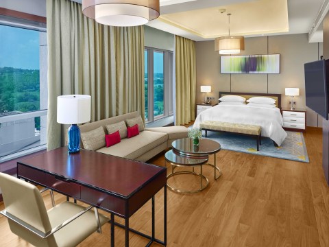 Hyatt Regency Thrissur One Bedroom Suite (Photo: Business Wire)