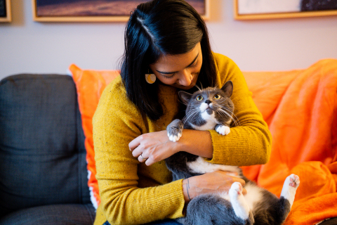 Uplift the Underdog: Cat Edition (Photo: Business Wire)
