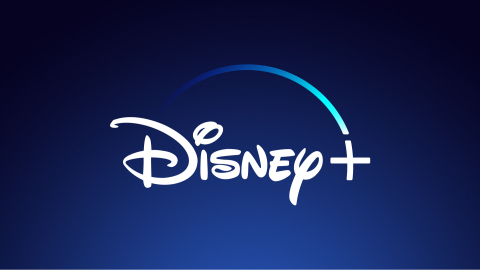 Walt Disney Company Logo