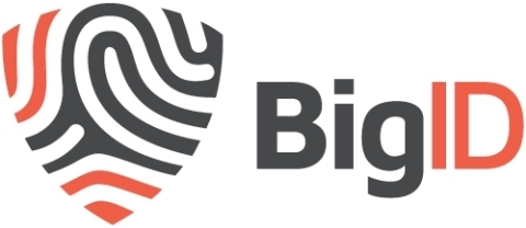 BigID Logo