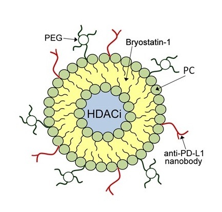 Combination HIV Latency Therapeutic Nanoparticle (Graphic: Business Wire)