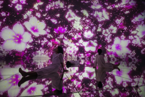 teamLab, Floating in the Falling Universe of Flowers, 2016-2018, Interactive Digital Installation, Endless, Sound: Hideaki Takahashi ©teamLab (Photo: Business Wire)