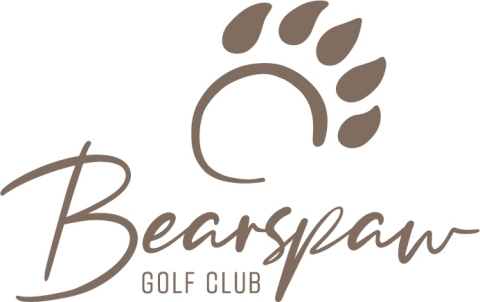 Bearspaw Equity Ventures Limited Logo