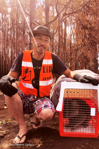 Rescued koala and Ren Yabuki (Photo: Business Wire)