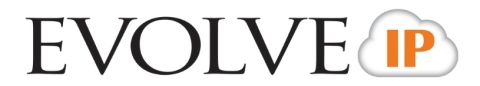 Evolve IP Logo