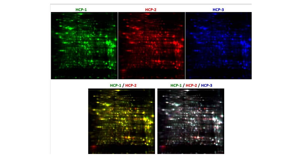 Applied Biomics Offers Qualitative and Quantitative Host Cell Protein ...