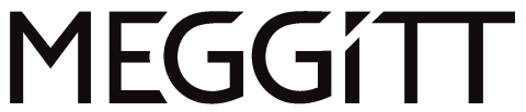 Meggitt Training Systems Logo