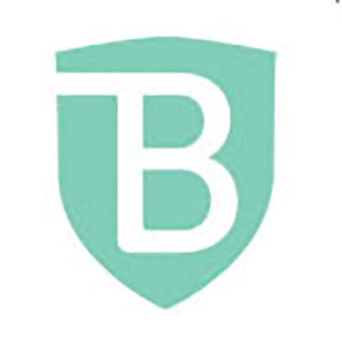 BrandShield Logo