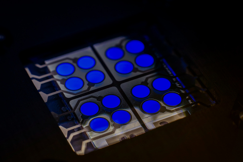 cyBlueBooster - CYNORA's Fluorescent Blue Emitter in OLED device (Photo: Dr. Harald Flügge, cynora GmbH)