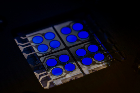 original cyBlueBooster - CYNORA's Fluorescent Blue Emitter in OLED device (Photo: Dr. Harald Flügge, cynora GmbH)