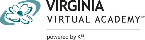 Virginia Virtual Academy (VAVA) Logo