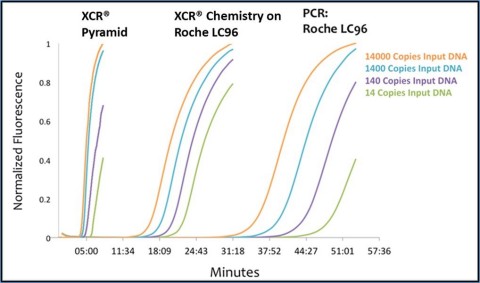 XCR Diagnostics has secured a U.S. patent for converting PCR assays to the company's Xtreme Chain Reaction format that identifies infectious diseases at least 5X faster - even on existing PCR testing equipment (Graphic: Business Wire)