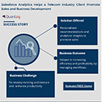 Salesforce Analytics Helps a Telecom Industry Client Promote Sales and Business Development
