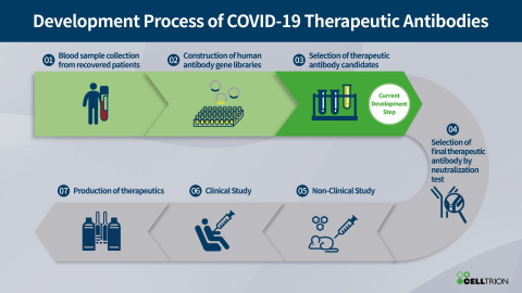Development Process of COVID-19 Therapeutic Antibodies (Graphic: Business Wire)