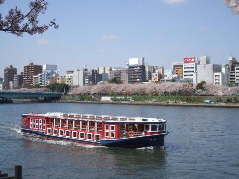 Board the cherry blossom cruise for Asakusa and enjoy the profusion of blossoms blooming on both riverbanks. (Photo: Business Wire)