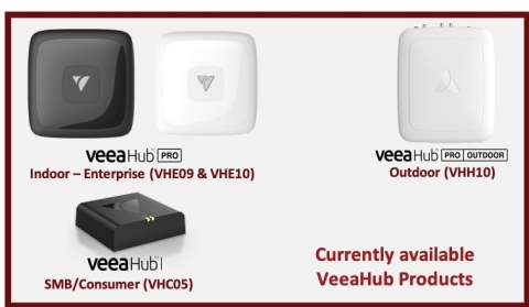 Currently Available VeeaHub Products (Graphic: Business Wire)