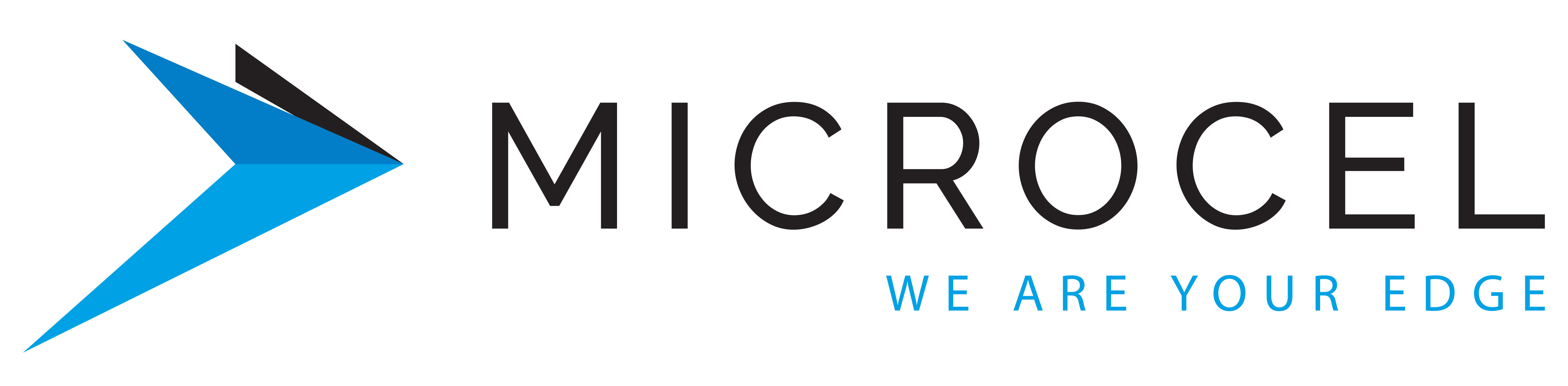 Microsel Adam Ingrao Appointed as Chief Executive Officer to Microcel | Business ...