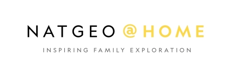 National Geographic Logo