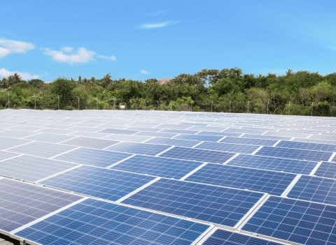 REDAVIA Solar Farm at Regional Maritime University (Photo: Business Wire)