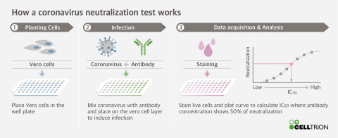 How a coronavirus neutralization test works (Graphic: Business Wire)