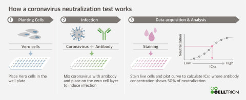 original How a coronavirus neutralization test works (Graphic: Business Wire)