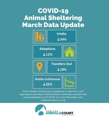 Shelter Animals Count Finds a 24% Decrease in Pets Entering Shelters ...