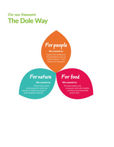 The Dole Way Framework (Graphic: Business Wire)