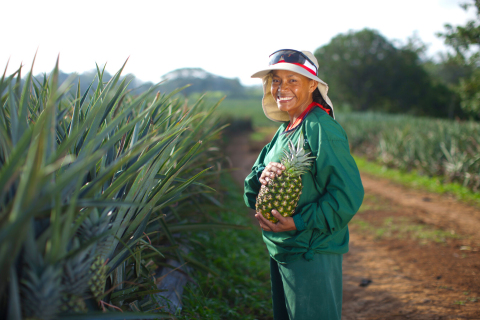 Dole Fresh Fruit, Pineapple Farm (Photo: Business Wire)