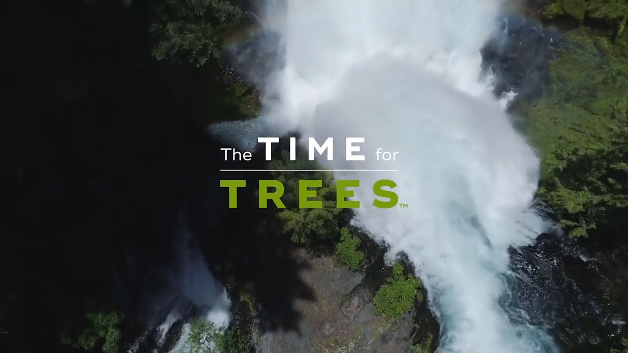 Time For Trees video