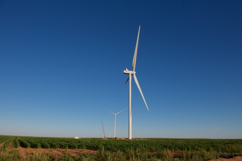 Newly released data from the American Wind Energy Association (AWEA) shows Dallas-based Tri Global Energy (TGE) continuing as the number one developer of wind energy in Texas. (Photo: Business Wire)