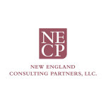 Caribbean News Global NECP-logo-(002) NECP on How to Survive the Pandemic of 2020  