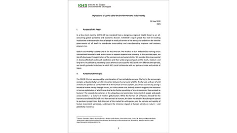 IGES Position Paper