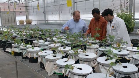 Six Agtech Startups Selected for Wells Fargo Innovation Incubator (Photo: Business Wire)